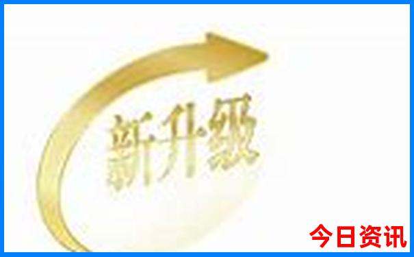 会说话的鸟排名前十名